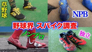 野球界スパイク大調査！草野球からNPBまで完全網羅！ [upl. by Yor]