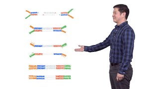 Next Generation Sequencing 2 Illumina NGS Sample Preparation  Eric Chow UCSF [upl. by Ahsatam251]