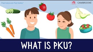 What is PKU Phenylketonuria [upl. by Aniretak139]