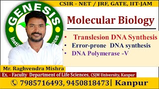 Translesion DNA synthesis  Molecular Biology New online quotBatchquot for CSIR NETJRF  IITJAM [upl. by Mihar218]