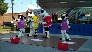 ChickfilA of Greer Dancing Cows [upl. by Ahsirtal]