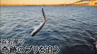 【浜名湖釣り】🎣浜名湖で鰤が釣れるとあるポイントで夕マヅメから投げ倒します。 [upl. by Delanty466]