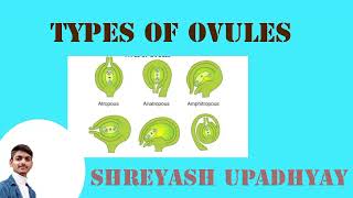 Types of ovules are coming soon I am making long video on channel BSc 2nd Year [upl. by Kreiker]