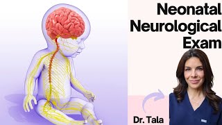 How to perform the NEURO exam on a baby HeadtoToe CNS evaluation [upl. by Annelg702]