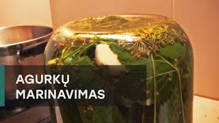 Agurkų marinavimas  Pickling cucumbers [upl. by Childs]