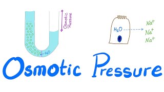 Osmotic Pressure  Osmosis  Colligative property  Physiology Series [upl. by Grigson828]