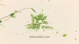 Green Eco Opener Logo animation  logoanimation shorts thechriststudio [upl. by Anirtak]