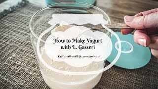 Podcast Episode 226 How to Make Yogurt with L Gasseri [upl. by Avram]