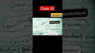 Class 10 Heredity chapter 8class10pyq exam mathsterm1class10questionpaper2024 class [upl. by Dnalram]