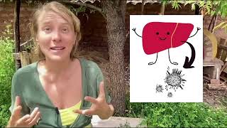 Chlorella Detox Safe or Dangerous Watch This Before You Try [upl. by Charleen]