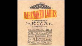 Barenaked Ladies quotJanequot Live Rock Spectacle [upl. by Tevlev]