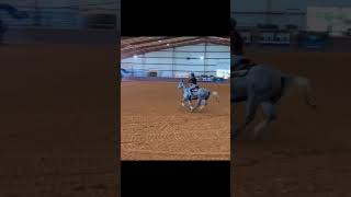 shezsoepic baileyfowler fypシ゚ 2025hopeful futurity filly workharder dedication [upl. by Nathaniel]