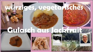 würziges vegetarisches Gulasch aus Jackfruit [upl. by Animahs140]