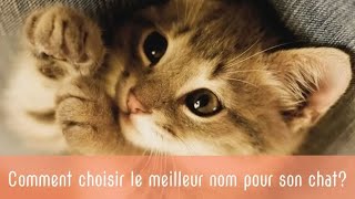 Comment choisir le meilleur nom pour son chat [upl. by Liane308]