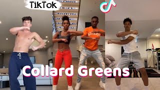 Collard Greens ScHoolboy Q  TikTok Dance Challenge Compilation [upl. by Ninetta66]