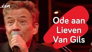 Bart Peeters ode aan Lieven [upl. by Nelleeus]