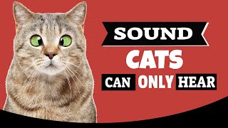 Sound Cats Can Only Hear  HQ [upl. by Yhtnomit]