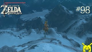 The Legend of Zelda Breath of the Wild  Mozo Shenno Shrine A Major Test of Strength [upl. by Annabell324]