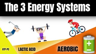 Learn the 3 Energy Systems ATPPC Lactic Acid amp Aerobic [upl. by Bor494]