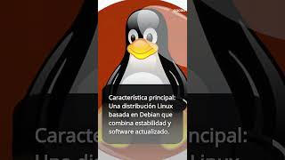 ¡Conoce SparkyLinux 🐧 linux [upl. by Balbur]