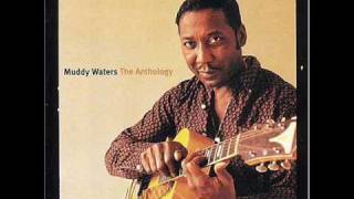 Muddy Waters  Mannish Boy [upl. by Dumah]