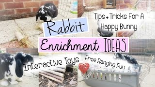 RABBIT ENRICHMENT IDEAS  RosieBunneh [upl. by Yelyak465]