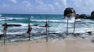 Pescadores Zancudos Koggala Beach Sri Lanka [upl. by Ahola]