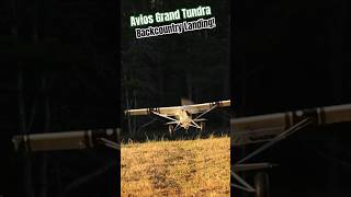 Avios Grand Tundra Bush Landing new aviation rcplane [upl. by Ahtibat]