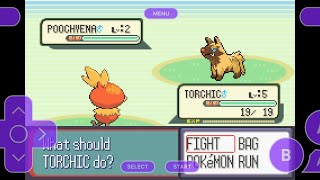 Killing the uncatchable shiny pooch 💔💔 [upl. by Leitman]