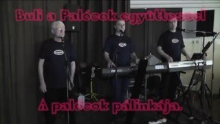 Palócok együttes  A palócok pálinkája [upl. by Orapma]