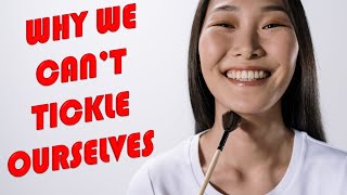 Why We Cant Tickle Ourselves  Efference Copy Explained [upl. by Consuela]