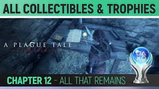 A Plague Tale Innocence  All Collectibles and Trophies 🏆  Chapter 12 All That Remains [upl. by Enaek]