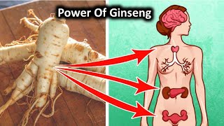 Proven Health Benefits of Ginseng [upl. by Fasa286]