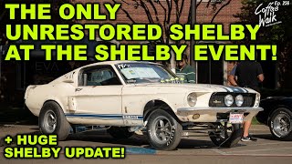 200 Shelby Mustangs amp Cobras  UPDATES ARE BACK [upl. by Esorrebma]