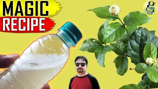 BEST ORGANIC PESTICIDE FORMULA  Home made Pest Control Recipe [upl. by Ivana979]