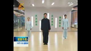 Chen Tai Chi Harmony 13 Form by Chen Bing [upl. by Mia256]