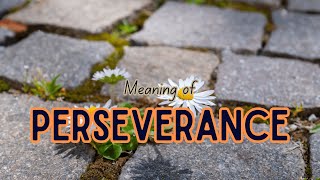 What is the meaning of Perseverance [upl. by Varney]