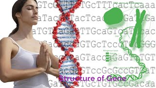 Structure of GeneGene Expression Demystified Dive Into the World of DNA [upl. by Lorens]