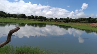 38 Alqueires em JussaraGo  Nascente Água Natural Fazenda a Venda [upl. by Sivahc]