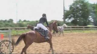 Equitation  Championnat de Vendée de Saut dObstacles 2011 [upl. by Sille]