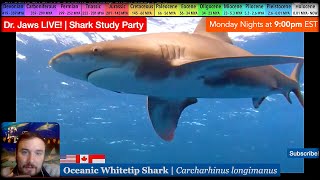 Dr Jaws LIVE 93 Oceanic Whitetip Shark Study Party [upl. by Epuladaug]