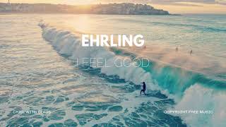 Ehrling  I Feel Good [upl. by Asetal]