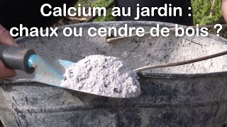 Calcium au jardin  chaux ou cendre de bois [upl. by Schurman]