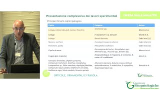 GF 2024Presentazione lavori sperimentali su difesa dalle malattie orticole ornamentali e fragola [upl. by Thier106]