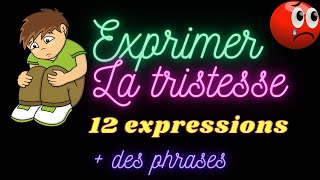 Apprendre 12 expressions pour exprimer la tristesse en français  des phrases [upl. by Kolva20]