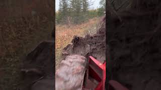 Timberjack 230 detroitdiesel timberjack skidder [upl. by Asum423]