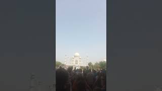 agra taj mahal tourist place agra tajmahal tour tourism viralshort youtubeshorts [upl. by Rollie449]