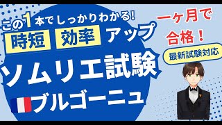 【語呂ワイン／ソムリエ・ワインエキスパート試験】ブルゴーニュ地方AOC [upl. by Harsho]