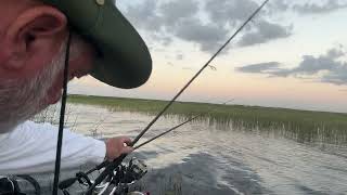 Shiner fishing Lake Okeechobee [upl. by Strickler]