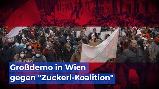 Bürgerprotest in Wien gegen quotZuckerlKoalitionquot [upl. by Ennasus353]